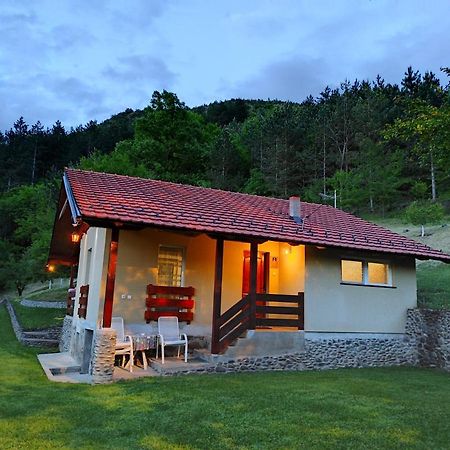 Vikend Kuca Maksimovic Villa Mataruska Banja Luaran gambar