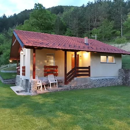 Vikend Kuca Maksimovic Villa Mataruska Banja Luaran gambar