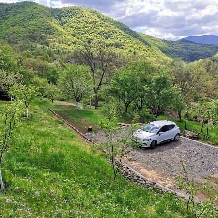 Vikend Kuca Maksimovic Villa Mataruska Banja Luaran gambar