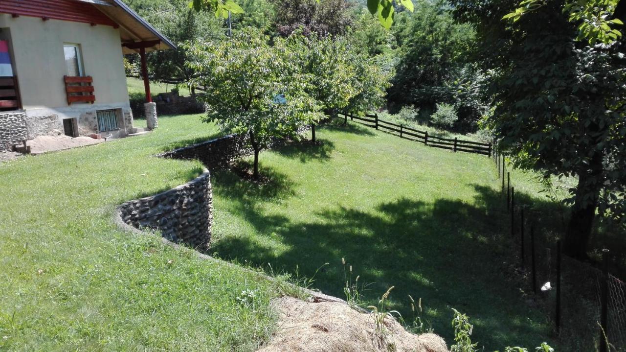 Vikend Kuca Maksimovic Villa Mataruska Banja Luaran gambar