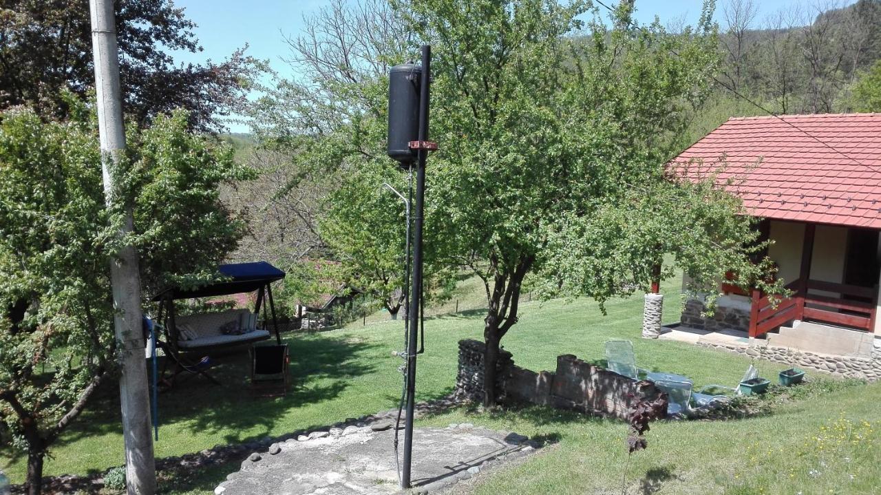 Vikend Kuca Maksimovic Villa Mataruska Banja Luaran gambar