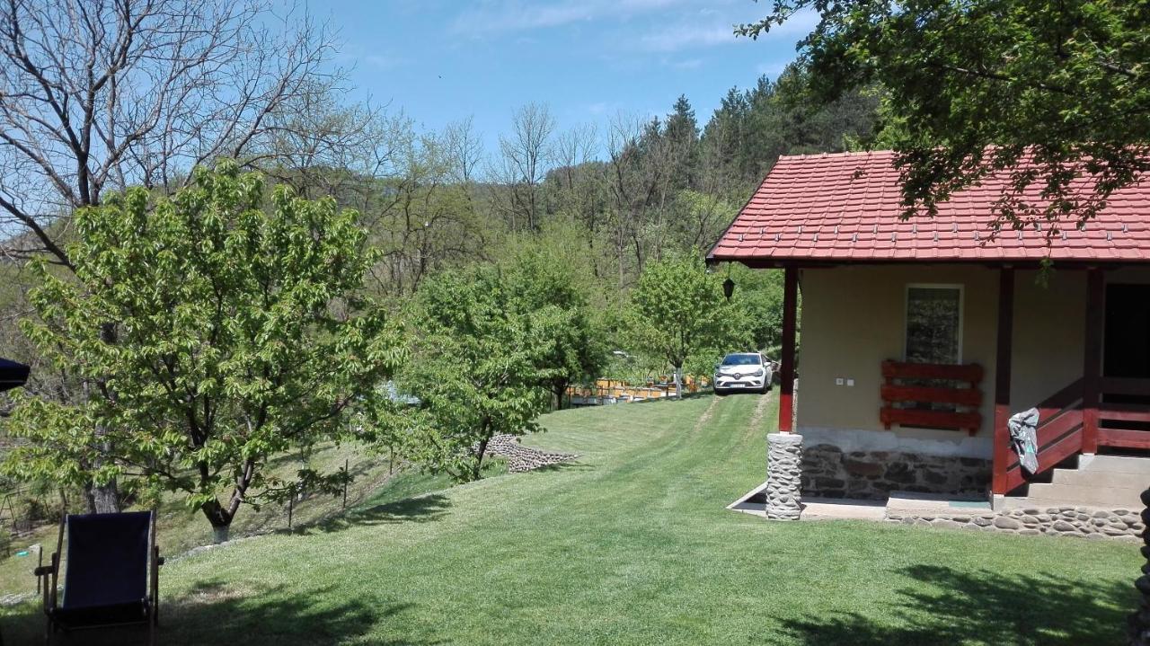 Vikend Kuca Maksimovic Villa Mataruska Banja Luaran gambar