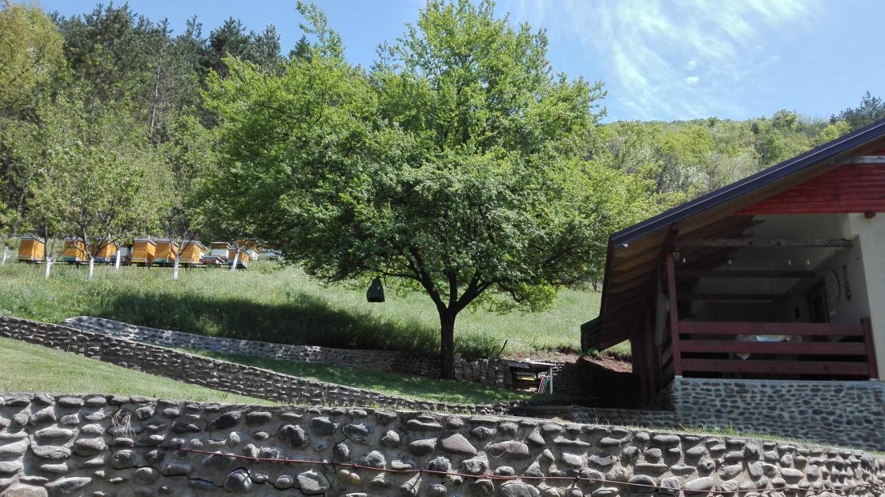 Vikend Kuca Maksimovic Villa Mataruska Banja Luaran gambar