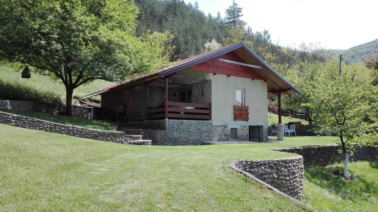 Vikend Kuca Maksimovic Villa Mataruska Banja Luaran gambar