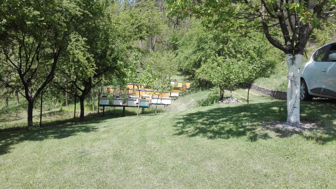 Vikend Kuca Maksimovic Villa Mataruska Banja Luaran gambar
