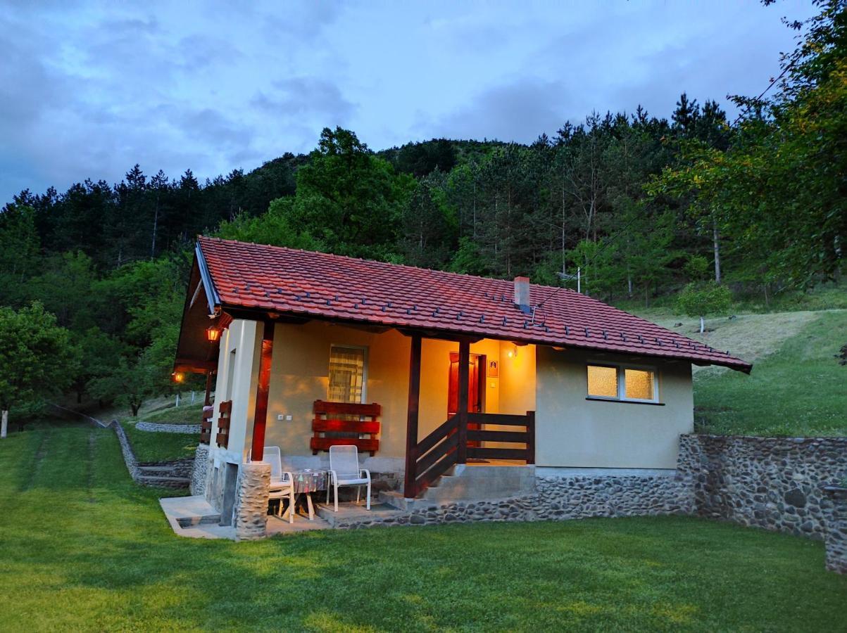 Vikend Kuca Maksimovic Villa Mataruska Banja Luaran gambar