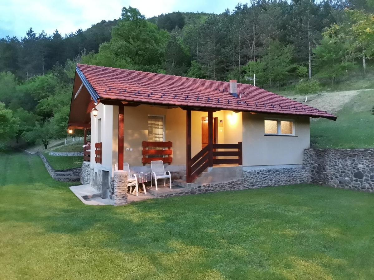 Vikend Kuca Maksimovic Villa Mataruska Banja Luaran gambar