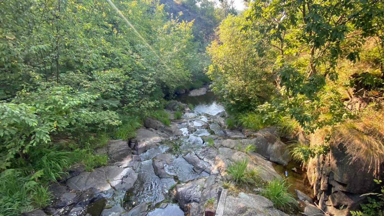 Vikend Kuca Maksimovic Villa Mataruska Banja Luaran gambar