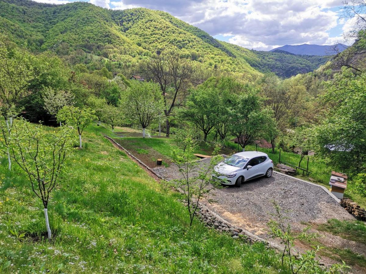 Vikend Kuca Maksimovic Villa Mataruska Banja Luaran gambar